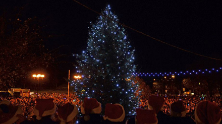 Christmas Lights Switch On 2014