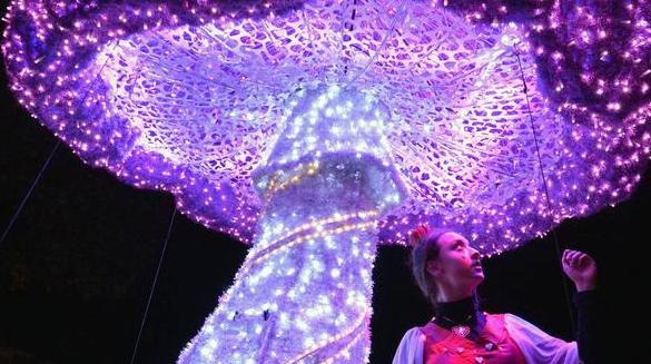 Roker Park Lights Queen Of Hearts